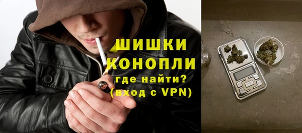 прущие грибы Липки