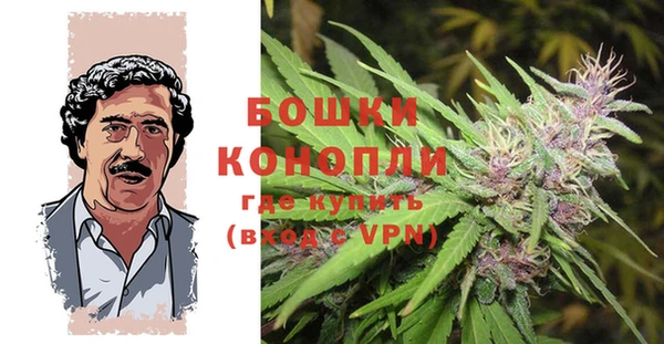 прущие грибы Липки