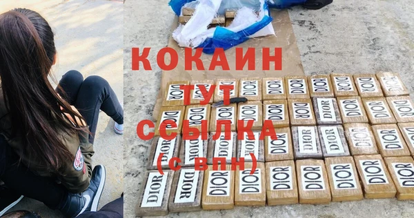 прущие грибы Липки