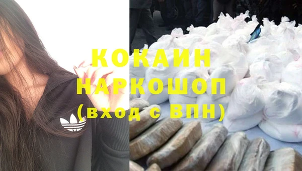 прущие грибы Липки