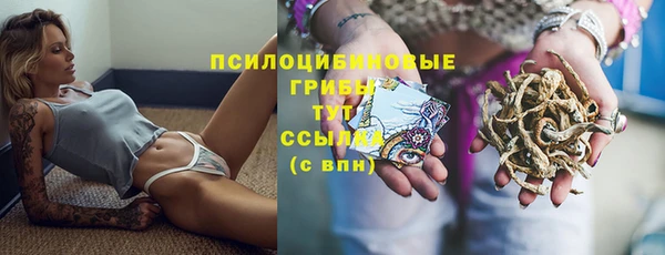 2c-b Лихославль