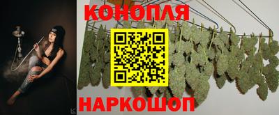 кокс Донской