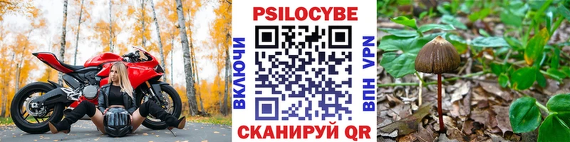 Псилоцибиновые грибы GOLDEN TEACHER  Самара 