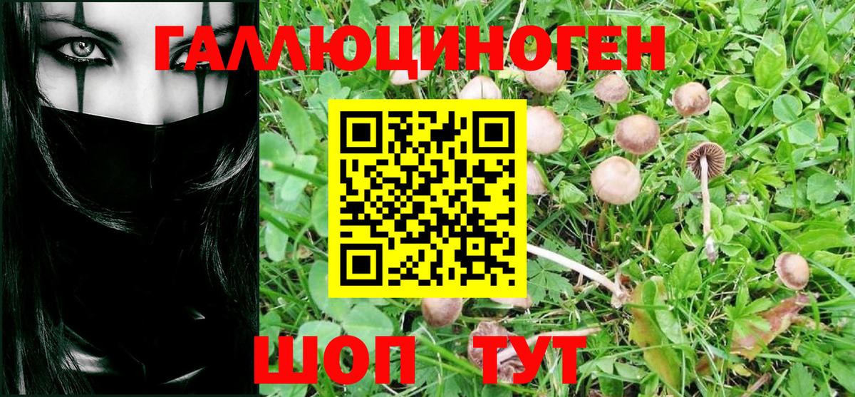 Псилоцибиновые грибы прущие грибы  Галлюциногенные грибы Magic Shrooms  Самара  Вход с VPN 